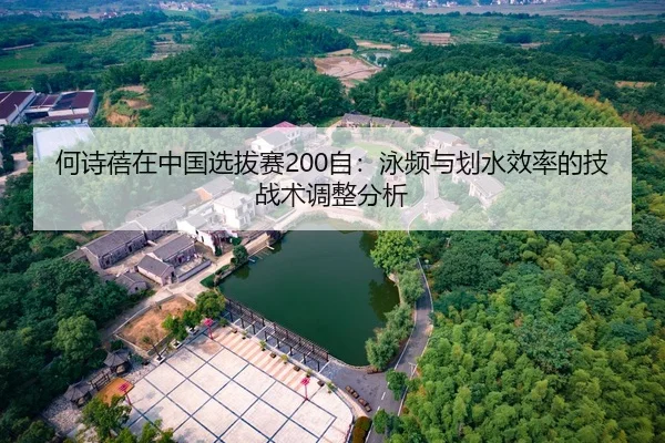 he-shi-bei-zai-zhong-guo-xuan-ba-sai-zi-yong-pin-yu-hua-shui-xiao-lv-de-ji-zhan-shu-tiao-zheng-fen-xi-2-335.jpg