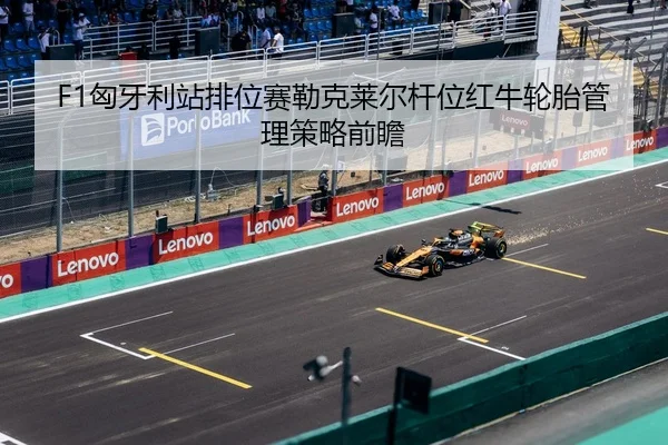 xiong-ya-li-zhan-pai-wei-sai-lei-ke-lai-er-gan-wei-hong-niu-lun-tai-guan-li-ce-lve-qian-zhan-2-934.jpg
