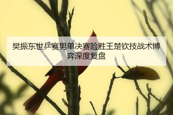 樊振东世乒赛男单决赛险胜王楚钦技战术博弈深度复盘