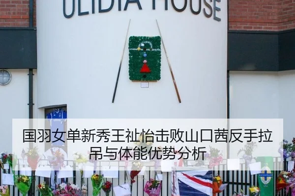 国羽女单新秀王祉怡击败山口茜反手拉吊与体能优势分析
