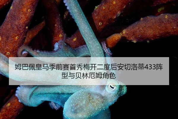 mu-ba-pei-huang-ma-ji-qian-sai-shou-xiu-mei-kai-er-du-hou-an-qie-luo-di-zhen-xing-yu-bei-lin-e-mu-jue-se-2-106.jpg